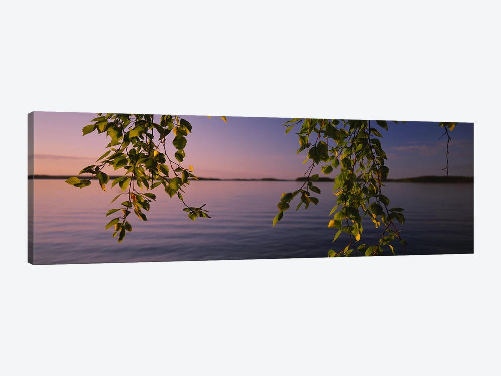 Close-Up Of Leaves On A Lakeside Birch, South Karelia, Finland by Panoramic Images 1-piece Canvas Print