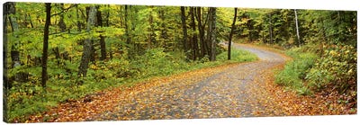 Country Road In An Autumn Landscape, Caledonia County, Vermont, USA Canvas Art Print - Vermont Art