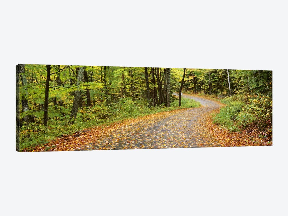 Country Road In An Autumn Landscape, Caledonia County, Vermont, USA by Panoramic Images 1-piece Canvas Artwork