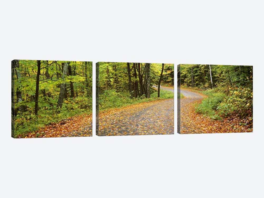 Country Road In An Autumn Landscape, Caledonia County, Vermont, USA by Panoramic Images 3-piece Canvas Wall Art