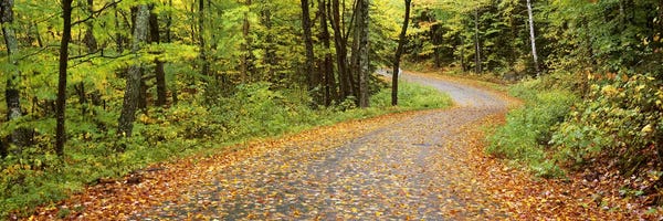 Vermont: Country Road In An Autumn Landscape, Caledonia County, Vermont, USA by Panoramic Images