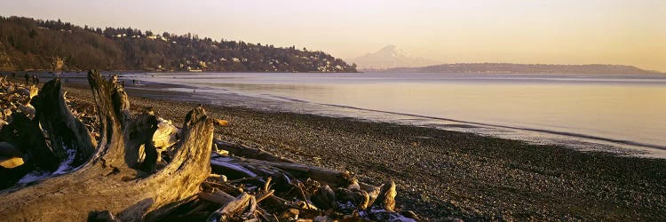 Driftwood on the beach, Discovery Park, Mt Rainier, Seattle, King County, Washington State, USA