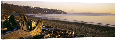 Driftwood on the beach, Discovery Park, Mt Rainier, Seattle, King County, Washington State, USA Canvas Art Print - Washington Art