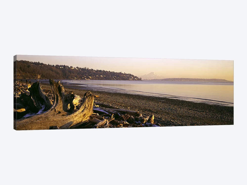 Driftwood on the beach, Discovery Park, Mt Rainier, Seattle, King County, Washington State, USA by Panoramic Images 1-piece Canvas Print
