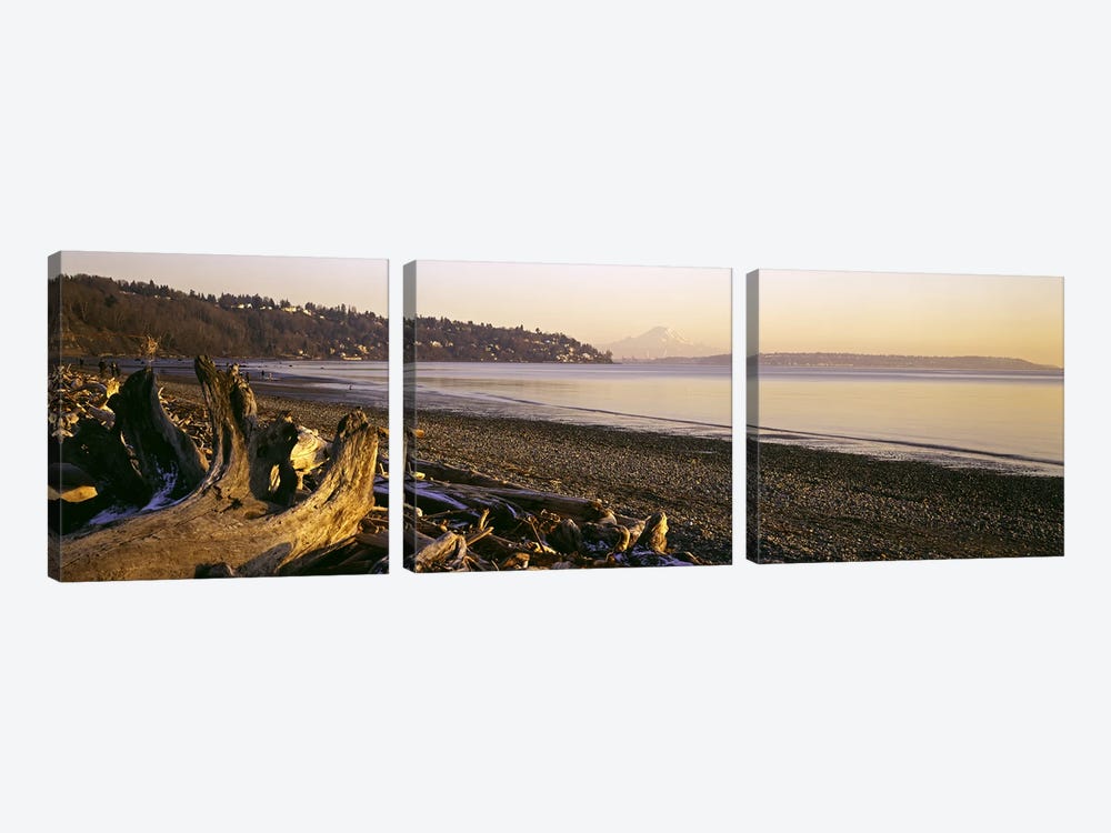 Driftwood on the beach, Discovery Park, Mt Rainier, Seattle, King County, Washington State, USA by Panoramic Images 3-piece Canvas Print