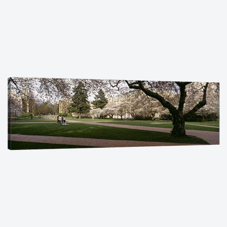 Cherry trees in the quad of a university, University of Washington, Seattle, King County, Washington State, USA #2 Canvas Print #PIM6371} by Panoramic Images Canvas Art