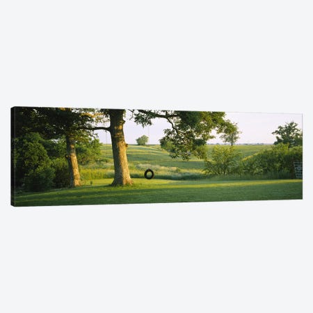 Tire swing on a tree Canvas Print #PIM6383} by Panoramic Images Canvas Print