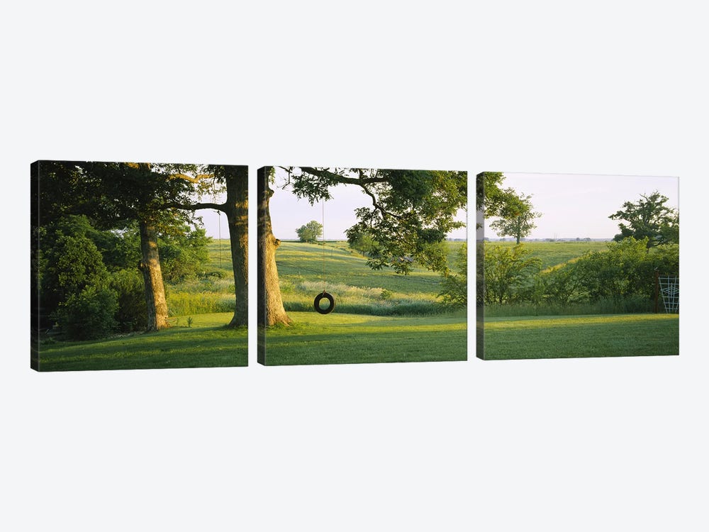 Tire swing on a tree by Panoramic Images 3-piece Canvas Print