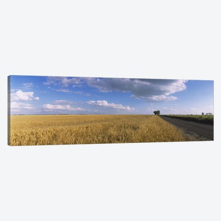 Clouds Over A Field Of Wheat, North Dakota, USA Canvas Print #PIM6384} by Panoramic Images Canvas Art