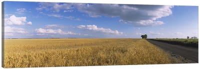 Clouds Over A Field Of Wheat, North Dakota, USA Canvas Art Print - North Dakota