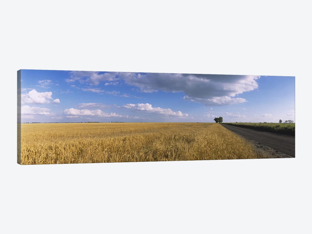 Clouds Over A Field Of Wheat, North Dakota, USA by Panoramic Images 1-piece Canvas Art