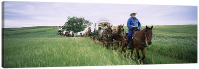 Historical reenactment of covered wagons in a field, North Dakota, USA Canvas Art Print - Horse Art