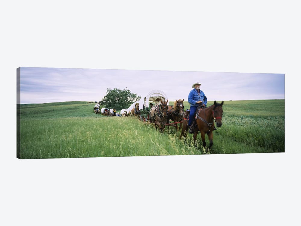 Historical reenactment of covered wagons in a field, North Dakota, USA by Panoramic Images 1-piece Art Print