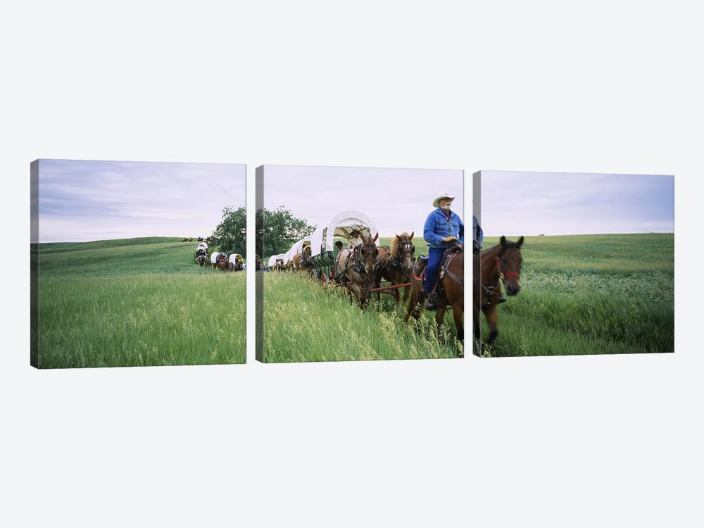 Historical reenactment of covered wagons in a field, North Dakota, USA by Panoramic Images 3-piece Canvas Print
