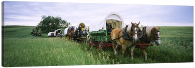 Historical reenactment, Covered wagons in a field, North Dakota, USA Canvas Art Print - Country Scenic Photography