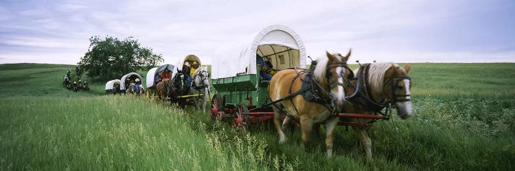 Historical reenactment, Covered wagons in a field, North Dakota, USA