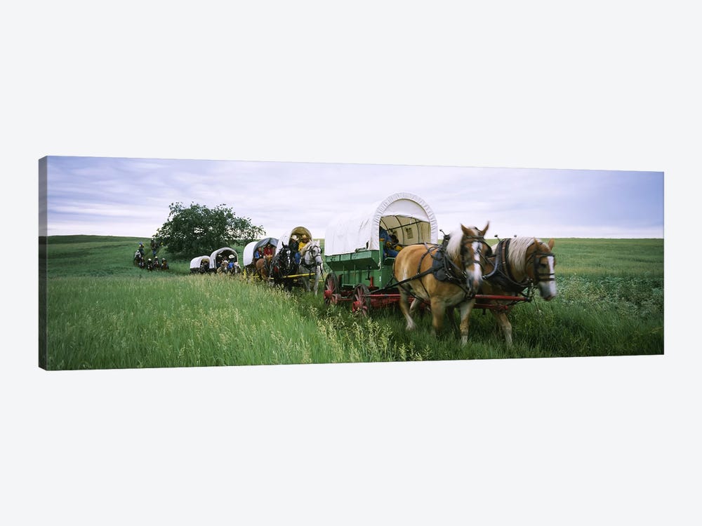 Historical reenactment, Covered wagons in a field, North Dakota, USA by Panoramic Images 1-piece Canvas Art