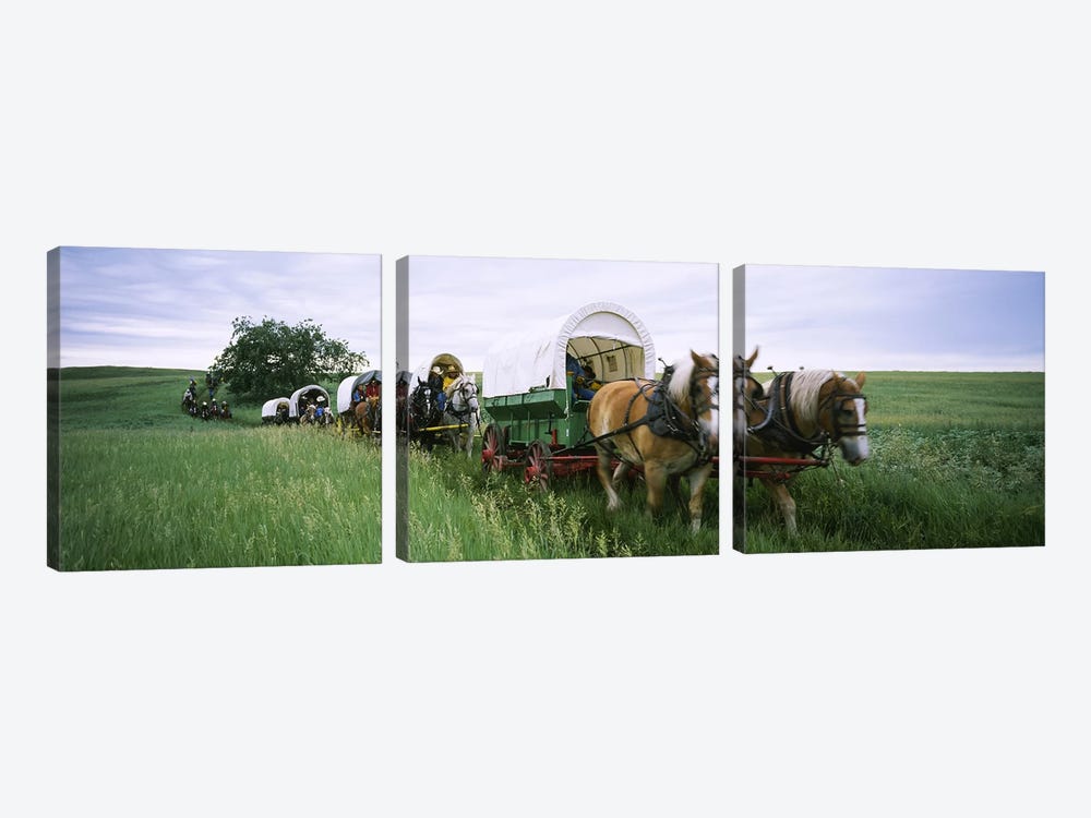 Historical reenactment, Covered wagons in a field, North Dakota, USA by Panoramic Images 3-piece Canvas Wall Art