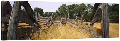 Dilapidated Cattle Chute, North Dakota, USA Canvas Art Print - North Dakota Art