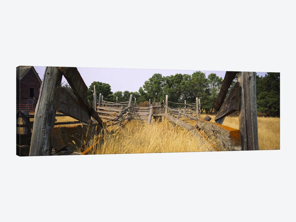 Dilapidated Cattle Chute, North Dakota, USA by Panoramic Images 1-piece Art Print