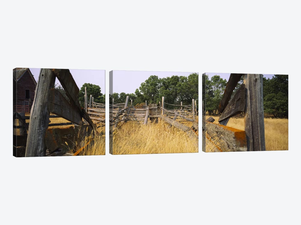 Dilapidated Cattle Chute, North Dakota, USA by Panoramic Images 3-piece Canvas Print
