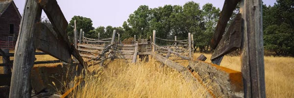 North Dakota: Dilapidated Cattle Chute, North Dakota, USA by Panoramic Images