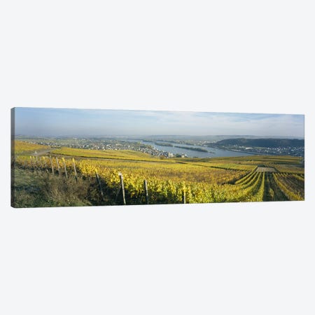 Vineyard And Town Buildings, Rudesheim, Upper Midle Rhine Valley, Hesse, Germany Canvas Print #PIM6392} by Panoramic Images Canvas Artwork