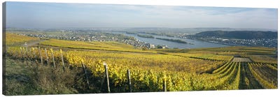 Vineyard And Town Buildings, Rudesheim, Upper Midle Rhine Valley, Hesse, Germany Canvas Art Print - Vineyard Art