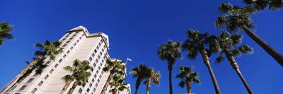 Low-Angle View Of Palm Trees & Fairmont Hotel, San Jose, Santa Clara County, California, USA by Panoramic Images framed canvas print