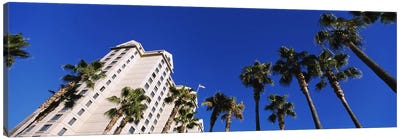 Low-Angle View Of Palm Trees & Fairmont Hotel, San Jose, Santa Clara County, California, USA Canvas Art Print - San Jose Art