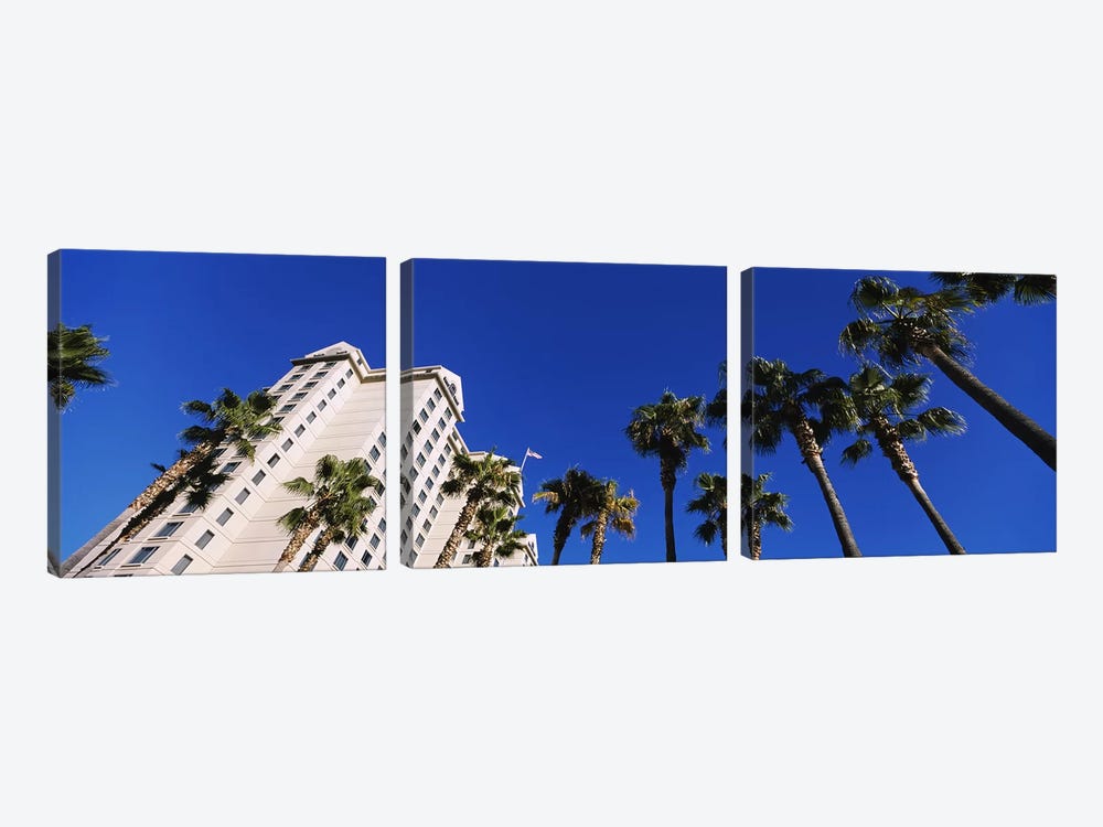 Low-Angle View Of Palm Trees & Fairmont Hotel, San Jose, Santa Clara County, California, USA by Panoramic Images 3-piece Canvas Art Print