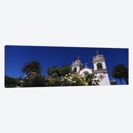 Plants in front of a cathedral, Portuguese Cathedral, San Jose, Silicon Valley, Santa Clara County, California, USA Canvas Print #PIM6415} by Panoramic Images Canvas Wall Art