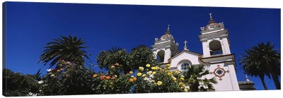 Plants in front of a cathedral, Portuguese Cathedral, San Jose, Silicon Valley, Santa Clara County, California, USA Canvas Art Print - Christian Art
