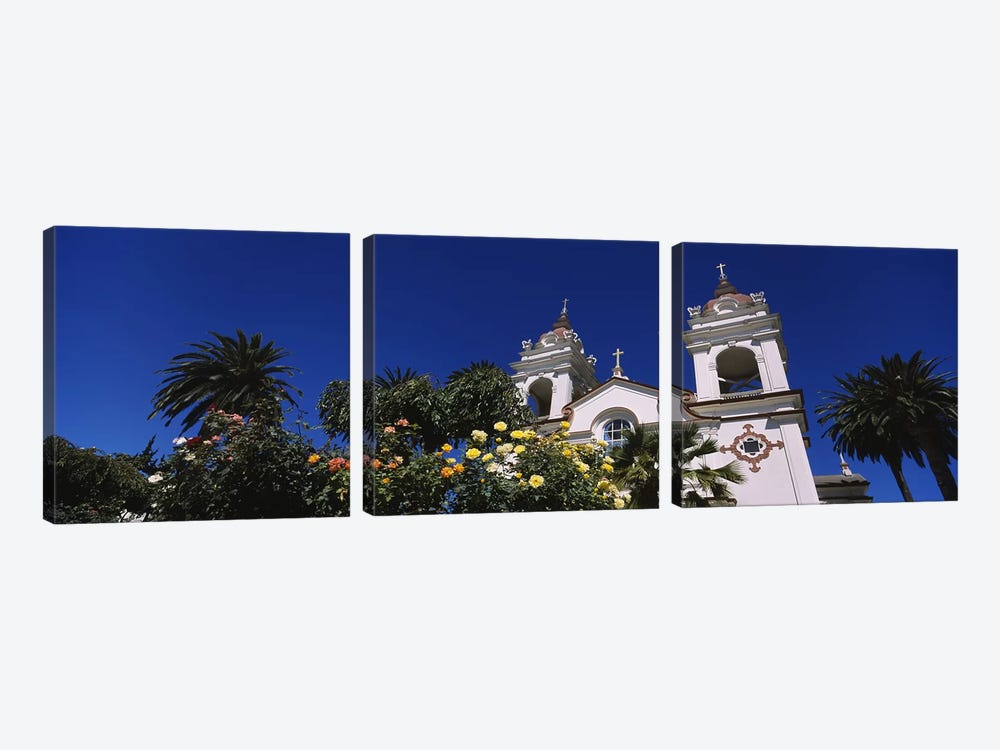 Plants in front of a cathedral, Portuguese Cathedral, San Jose, Silicon Valley, Santa Clara County, California, USA by Panoramic Images 3-piece Canvas Art Print
