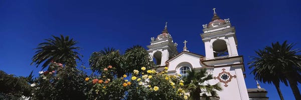 San Jose: Plants in front of a cathedral, Portuguese Cathedral, San Jose, Silicon Valley, Santa Clara County, California, USA by Panoramic Images