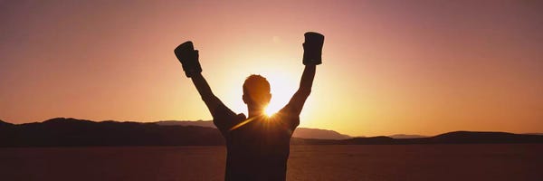 Athletes: Silhouette of a person wearing boxing gloves in a desert at dusk, Black Rock Desert, Nevada, USA by Panoramic Images