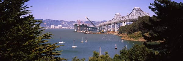 Evergreen Trees: Cranes at a bridge construction site, Bay Bridge, Treasure Island, Oakland, San Francisco, California, USA #2 by Panoramic Images