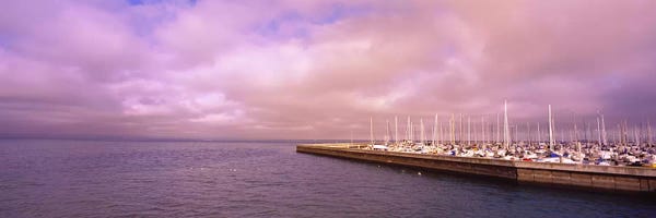 North America: Yachts moored at a harbor, San Francisco Bay, San Francisco, California, USA by Panoramic Images