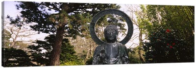 Statue of Buddha in a park, Japanese Tea Garden, Golden Gate Park, San Francisco, California, USA Canvas Art Print - Buddhism Art