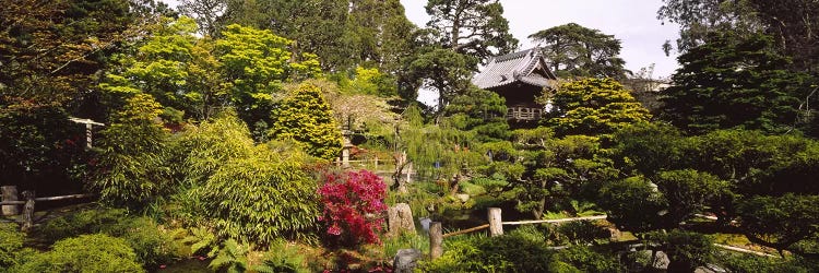 Cottage in a park, Japanese Tea Garden, Golden Gate Park, San Francisco, California, USA