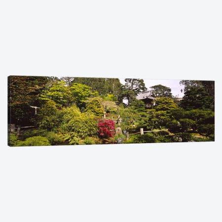 Cottage in a park, Japanese Tea Garden, Golden Gate Park, San Francisco, California, USA Canvas Print #PIM6462} by Panoramic Images Canvas Artwork