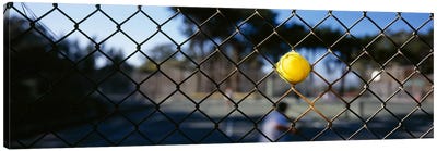 Close-up of a tennis ball stuck in a fence, San Francisco, California, USA Canvas Art Print - Athlete Art
