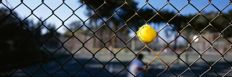 Close-up of a tennis ball stuck in a fence, San Francisco, California, USA