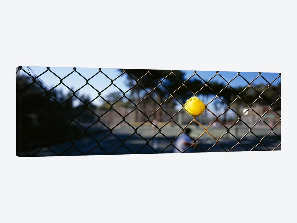 Close-up of a tennis ball stuck in a fence, San Francisco, California, USA by Panoramic Images 1-piece Canvas Art Print
