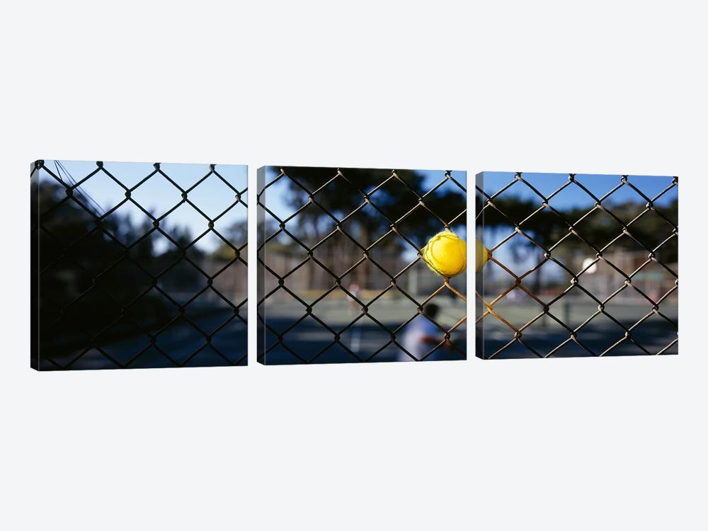Close-up of a tennis ball stuck in a fence, San Francisco, California, USA by Panoramic Images 3-piece Art Print