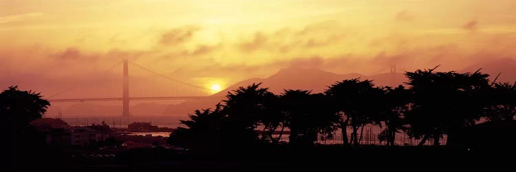 Silhouette of trees at dusk with a bridge in the background, Golden Gate Bridge, San Francisco, California, USA