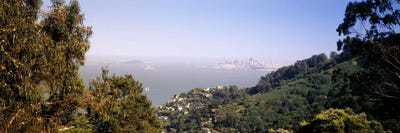 Trees on a hill, Sausalito, San Francisco Bay, Marin County, California, USA #2 by Panoramic Images canvas print