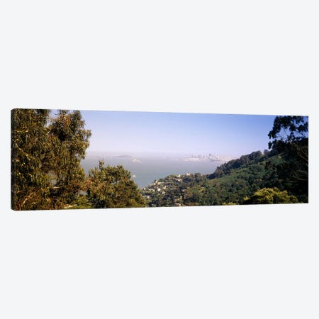 Trees on a hill, Sausalito, San Francisco Bay, Marin County, California, USA #2 Canvas Print #PIM6471} by Panoramic Images Canvas Art Print