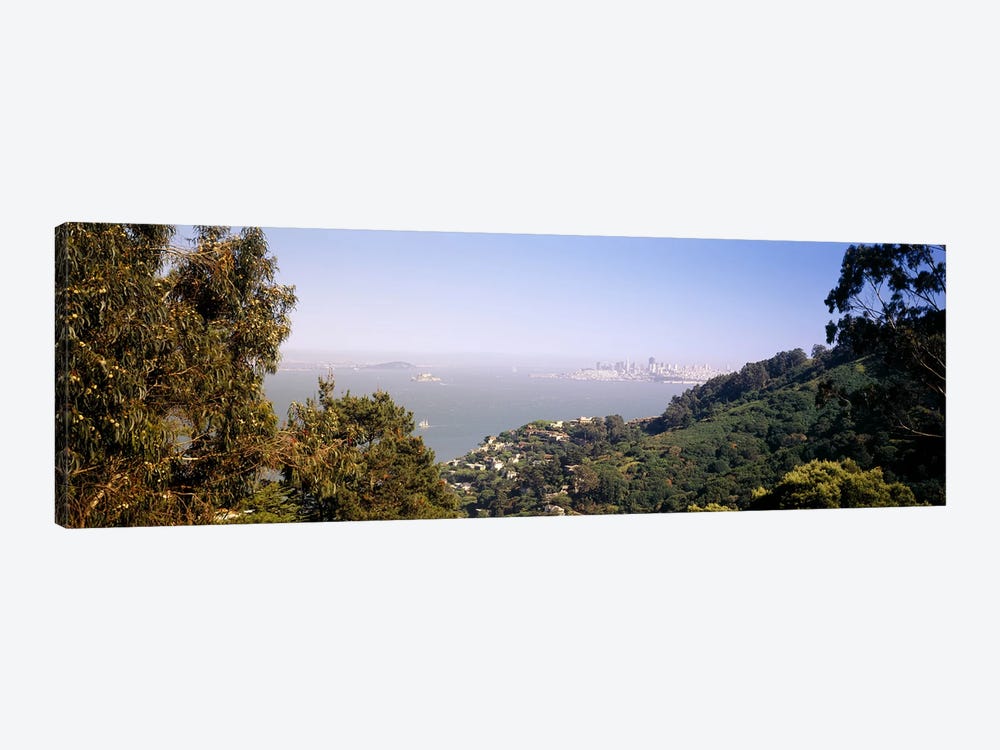 Trees on a hill, Sausalito, San Francisco Bay, Marin County, California, USA #2 by Panoramic Images 1-piece Canvas Print