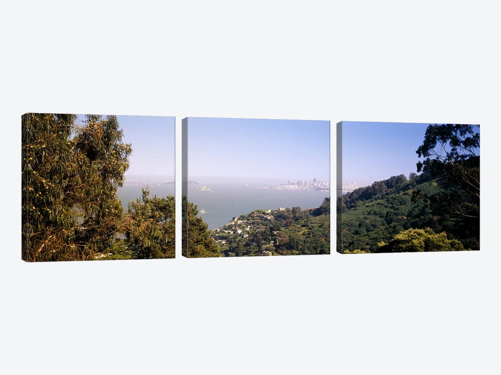 Trees on a hill, Sausalito, San Francisco Bay, Marin County, California, USA #2 by Panoramic Images 3-piece Art Print